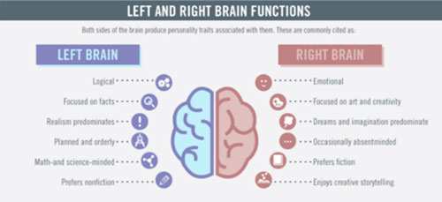 Left and right Brain Functions
