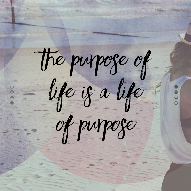 The purpose of life is a life of purpose